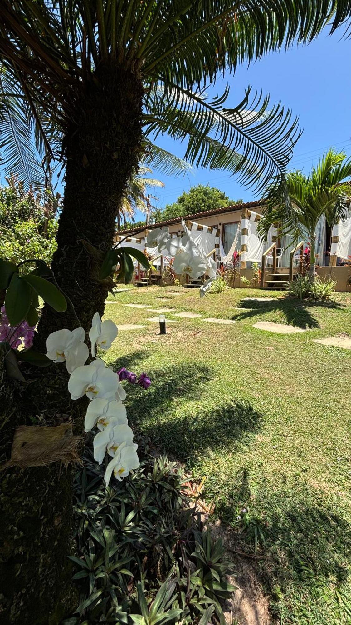 Hotel Da Pipa Praia de Pipa Eksteriør billede
